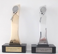 troféu em chapa de metal esportivo