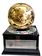 trofeu com fundição em metal